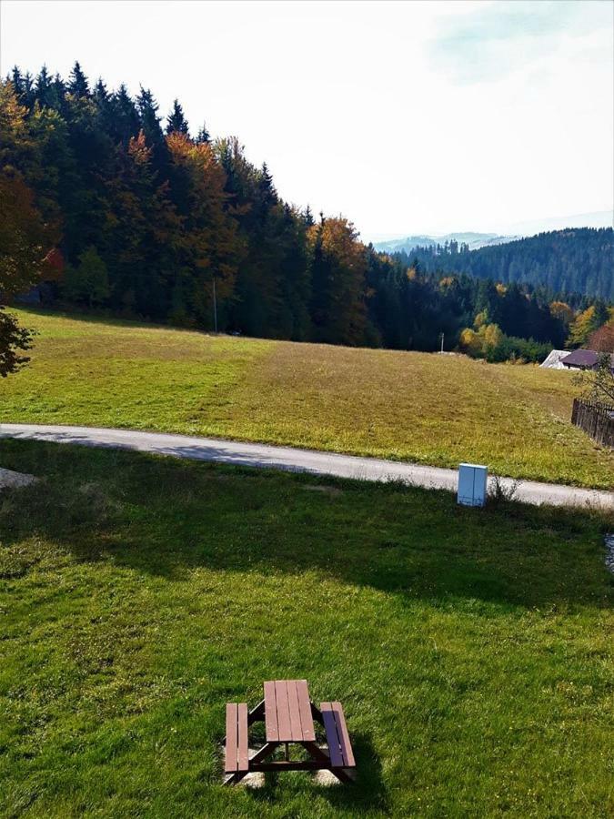 Apartament Z Kominkiem I Wanna Istebna Kültér fotó